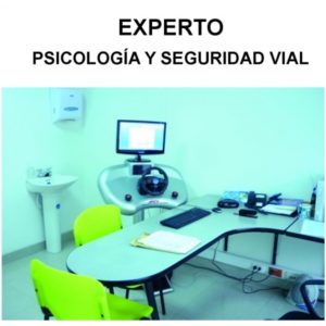 Experto en Psicología y Seguridad Vial (Online)